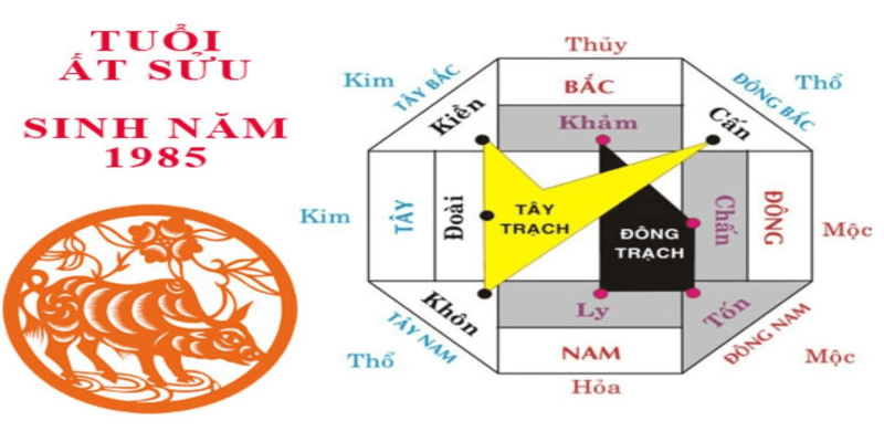 Phong thủy nhà ở theo tuổi 1985 cần tính mệnh kỹ càng