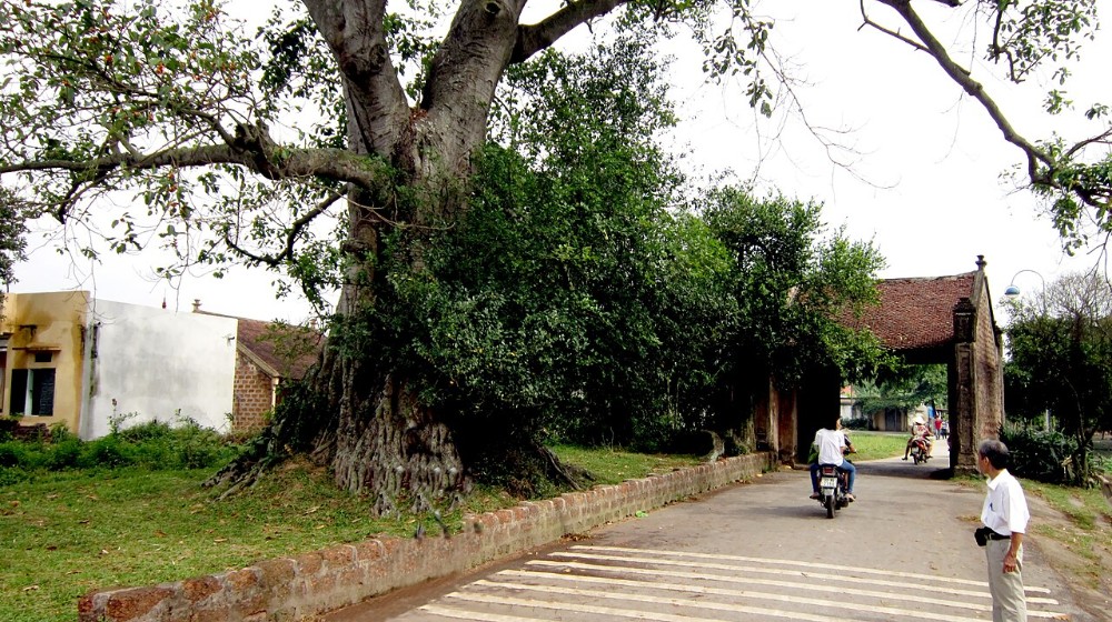 Cổng vào làng cổ Đường Lâm, phường Sơn Tây