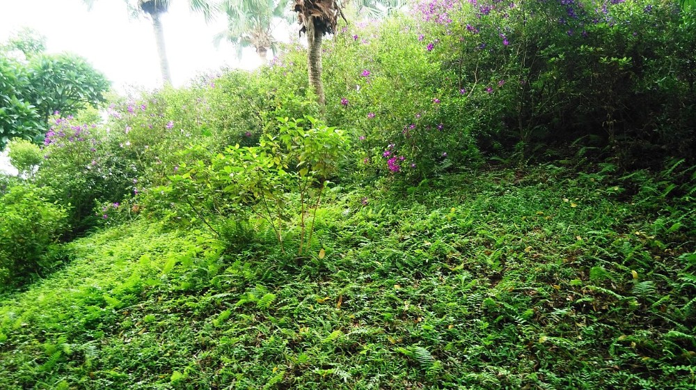 Khu nghỉ dưỡng Trung Sơn Trầm, phường Tùng Thiện